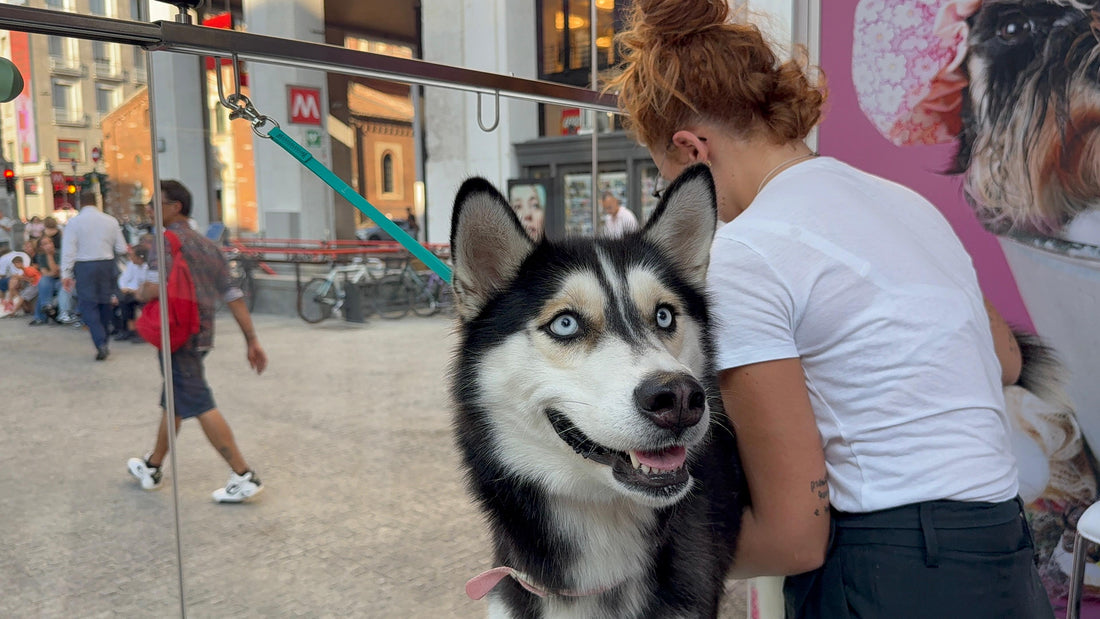 I primi a portare il mondo pet alla Milano Beauty Week!