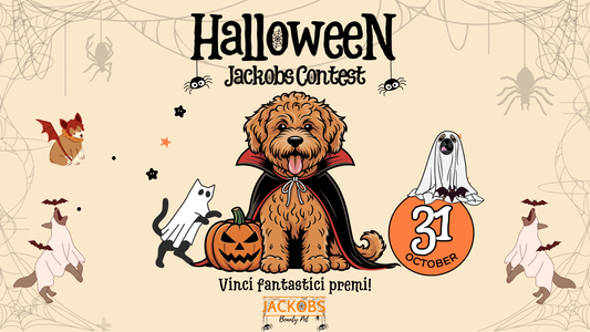 🎃 Halloween Contest 2025: il contest più spaventoso e divertente per cani e gatti! 🐾👻