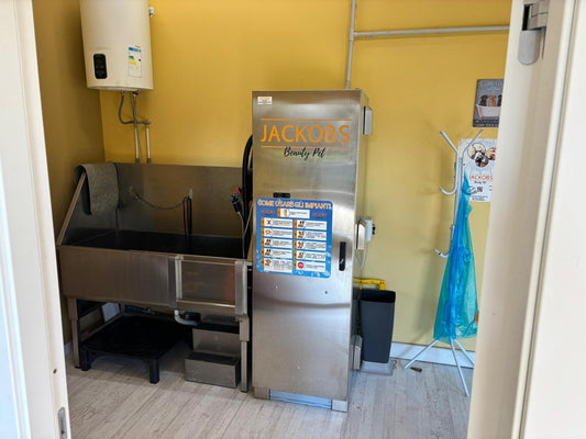 Self service a Segrate: la soluzione pratica per un cane sempre pulito