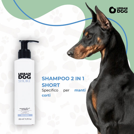 SHAMPOO 2 IN 1 SHORT
