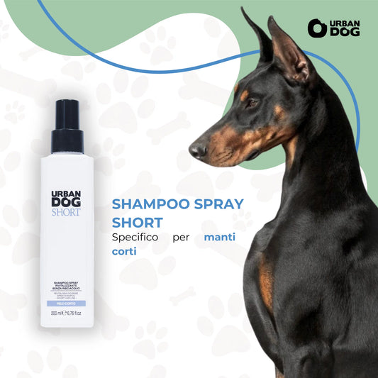SHAMPOO SPRAY SENZA RISCIACQUO SHORT