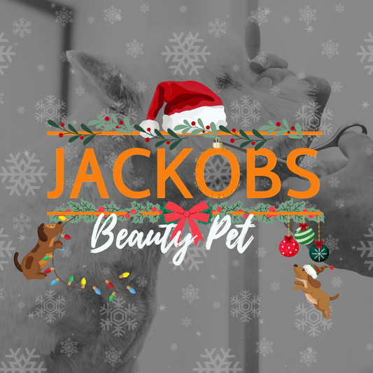 Calendario dell’Avvento per cani Jackobs Beauty Pet