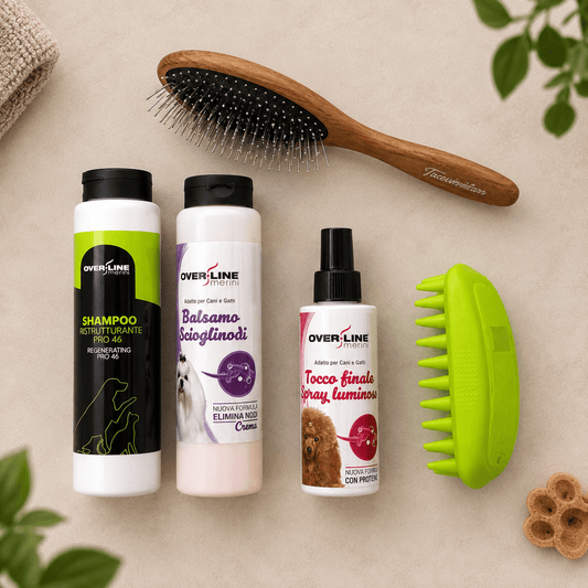 Prodotti contenuti nella Beauty Box Glow Jackobs visti dall'alto