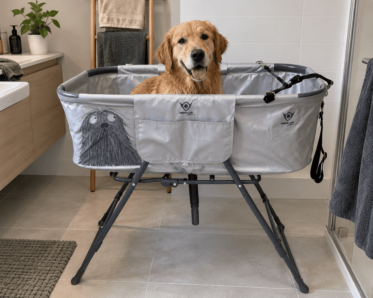 Vasca pieghevole per lavare il cane in ambiente domestico